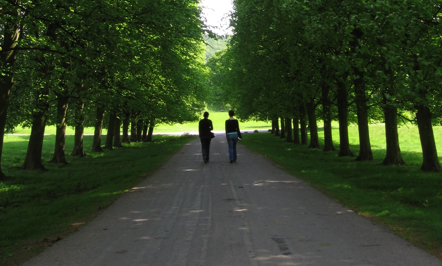 Psicologo, Psichiatra, Psicoterapeuta... a chi rivolgersi?